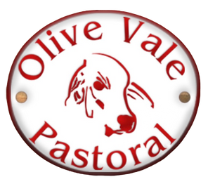 olive-logo.png